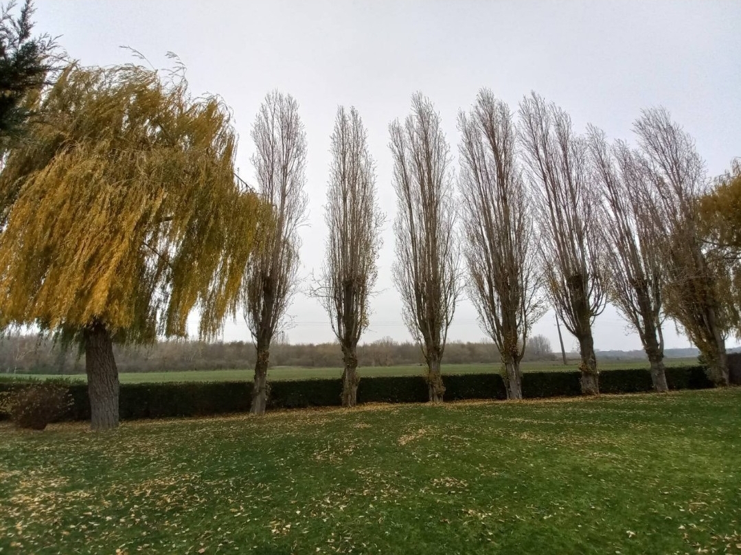 Photo n° 2 de l'avis de Stephane.e fait le 23/12/2022 à 10:40