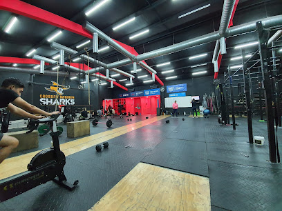 Tayburun CrossFit - Diego de Montemayor 201, Casco Urbano, 66200 San Pedro Garza García, N.L., Mexico