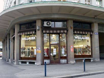 Wellauer AG