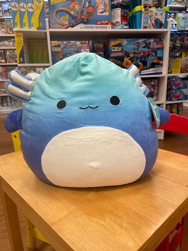 Toy Store «Learning Express», reviews and photos, 12850 Memorial Dr, Houston, TX 77024, USA
