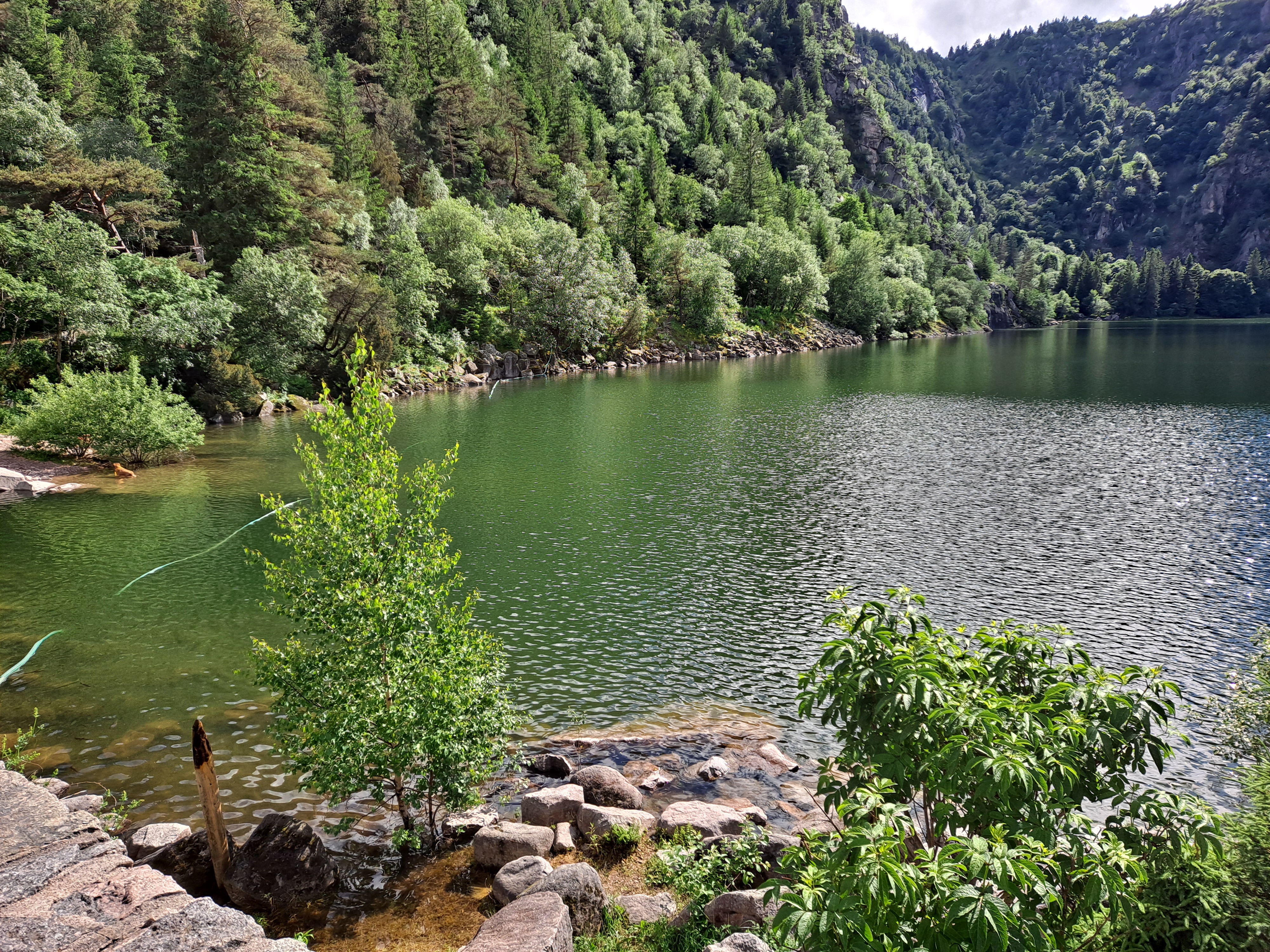 Photo n° 6 de l'avis de gilles.e fait le 22/06/2021 à 15:56