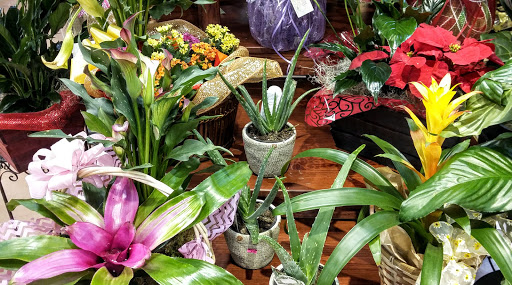 Grocery Store «Kroger», reviews and photos, 6745 S Siwell Rd, Byram, MS 39272, USA