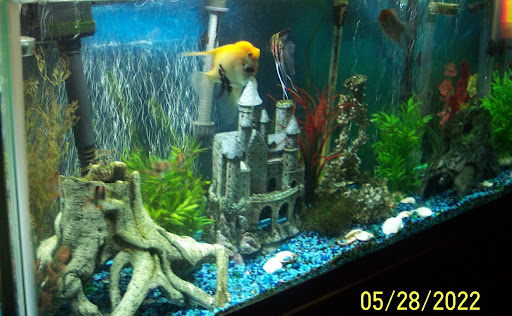 Pet Supply Store «Petco Animal Supplies», reviews and photos, 1500 N Town E Blvd, Mesquite, TX 75150, USA