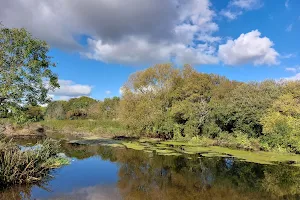 Stour Valley Nature Reserve image