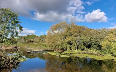 Stour Valley Nature Reserve image