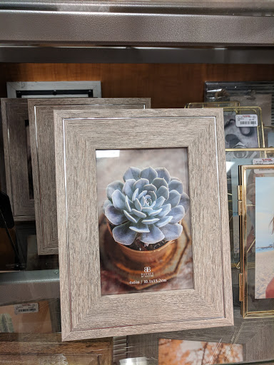 Department Store «T.J. Maxx», reviews and photos, 320 Robert Smalls Pkwy b, Beaufort, SC 29906, USA