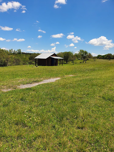 Camping Queguay - Paysandú