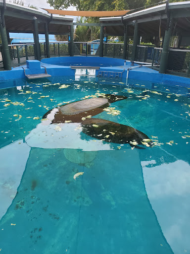 Aquarium «Miami Seaquarium», reviews and photos, 4400 Rickenbacker Causeway, Key Biscayne, FL 33149, USA