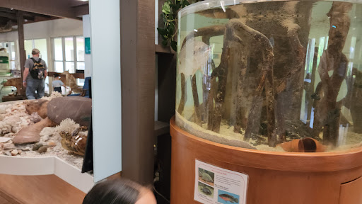 Nature Preserve «Calusa Nature Center & Planetarium», reviews and photos, 3450 Ortiz Ave, Fort Myers, FL 33905, USA