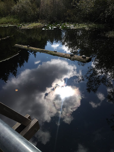 Nature Preserve «Tacoma Nature Center», reviews and photos, 1919 S Tyler St, Tacoma, WA 98405, USA