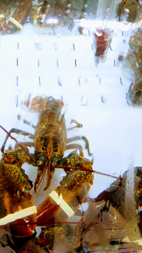 Grocery Store «Meijer», reviews and photos, 2636 US-52, West Lafayette, IN 47906, USA