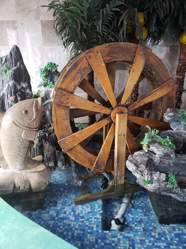 Asian Grocery Store «C’ville Oriental Supermarket», reviews and photos, 1195 Seminole Trail, Charlottesville, VA 22901, USA