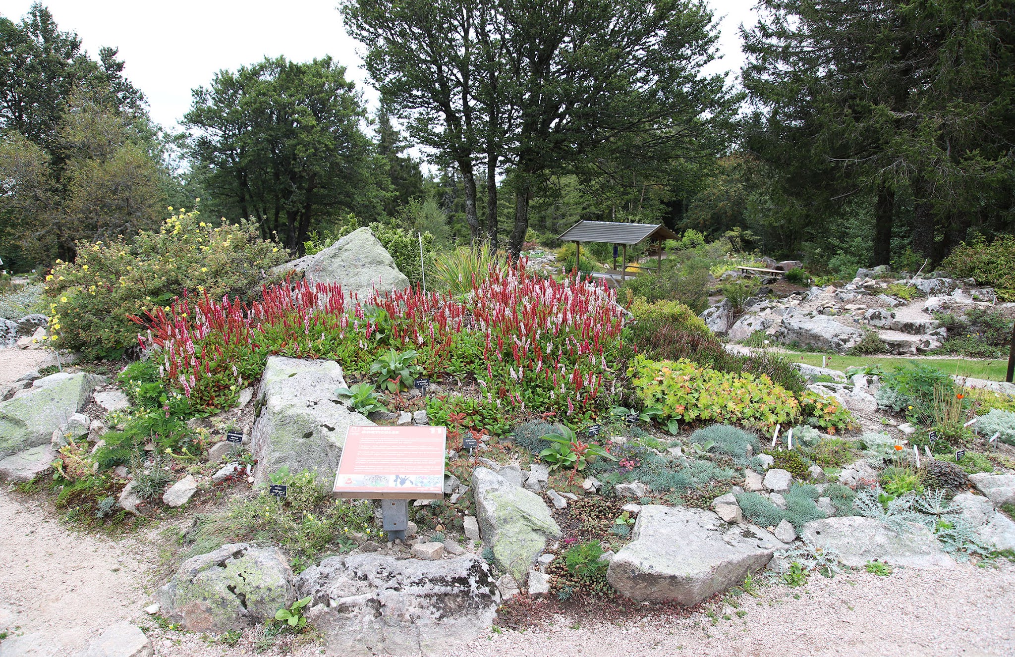 Photo n° 4 de l'avis de Hervé.E fait le 11/09/2020 à 06:16