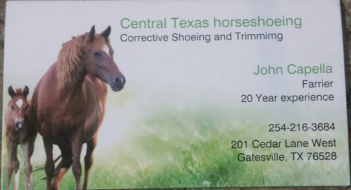 Central Texas Horseshoeing