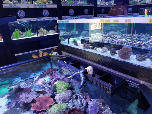 Tropical Fish Store «Premier Aquatics», reviews and photos, 1801 Roswell Rd, Marietta, GA 30062, USA