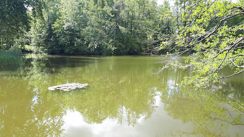 Parc Forestier du Château de Menucourt à Menucourt