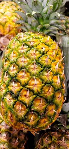 Grocery Store «Township of Washington Foodtown», reviews and photos, 315 Pascack Rd, Township of Washington, NJ 07676, USA