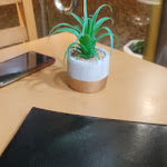 Photo n°1 de l'avis de Marco.e fait le 26/02/2023 à 19:08 sur le  Restaurante Tio Manel à Peso da Régua