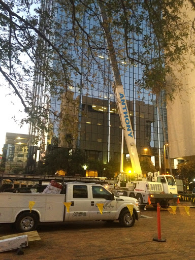 Roofing Contractor «Quality Roofing, Inc.», reviews and photos, 1905 N 40th St, Tampa, FL 33605, USA