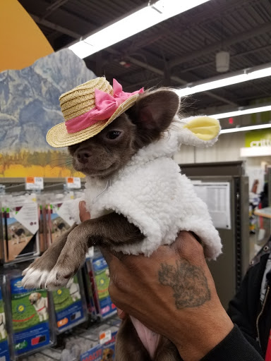 Pet Supply Store «Petco Animal Supplies», reviews and photos, 339 Squire Rd #108, Revere, MA 02151, USA