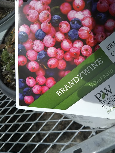 Home Improvement Store «The Home Depot», reviews and photos, 535 Grand Army of the Republic Hwy, Somerset, MA 02725, USA