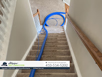 Hippo Carpet Cleaning of Severn - Photo 2 - Car repair in , Columbia