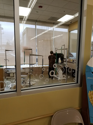 Pet Supply Store «Petco Animal Supplies», reviews and photos, 710 Franklin Ave, Franklin Square, NY 11010, USA