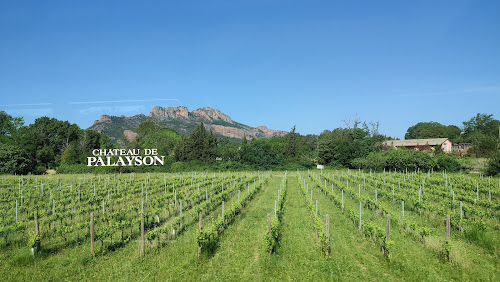 Château de Palayson à Roquebrune-sur-Argens