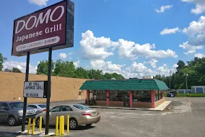Domo Japanese Grill image