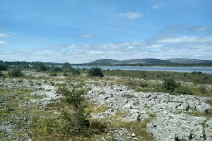 Lough Bunny image