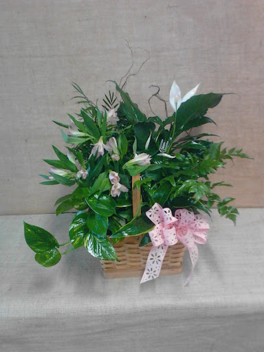 Florist «Valentin Occasions», reviews and photos, 1221 Powdersville Rd, Easley, SC 29642, USA