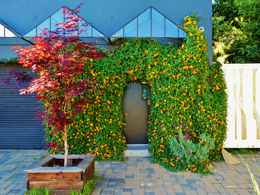 Cafe «Four Barrel Coffee», reviews and photos, 2 Burrows St, San Francisco, CA 94134, USA