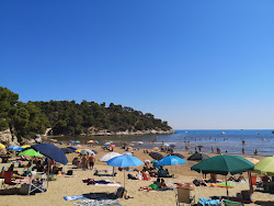 Foto von Spiaggia di San Felice teilweise ferienortbereich