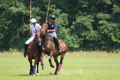 Detroit Polo Club