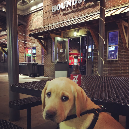 Bar «The Houndstooth», reviews and photos, 1300 University Blvd, Tuscaloosa, AL 35401, USA
