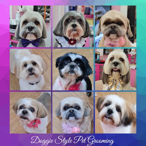 Doggie Style Pet Grooming & Canine Wellbeing - Dog trainer