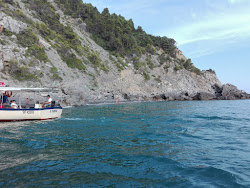 Photo de Puntacorvo Beach
 situé dans une zone naturelle