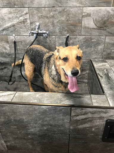 Pet Store «Pet Valu», reviews and photos, 307 Bayonne Crossing Way, Bayonne, NJ 07002, USA