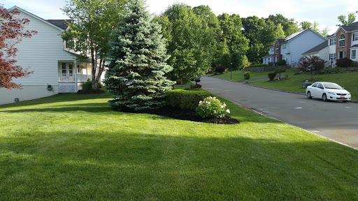 Creative Visions Landscaping image 2