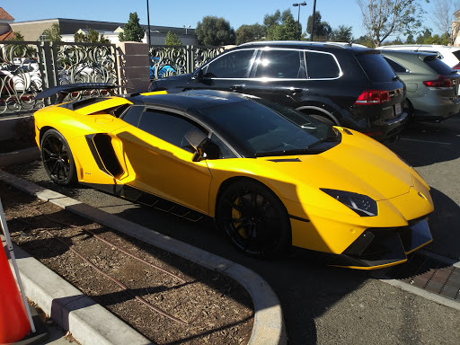 Pet Supply Store «Petco Animal Supplies», reviews and photos, 26501 Bouquet Canyon Rd, Saugus, CA 91350, USA