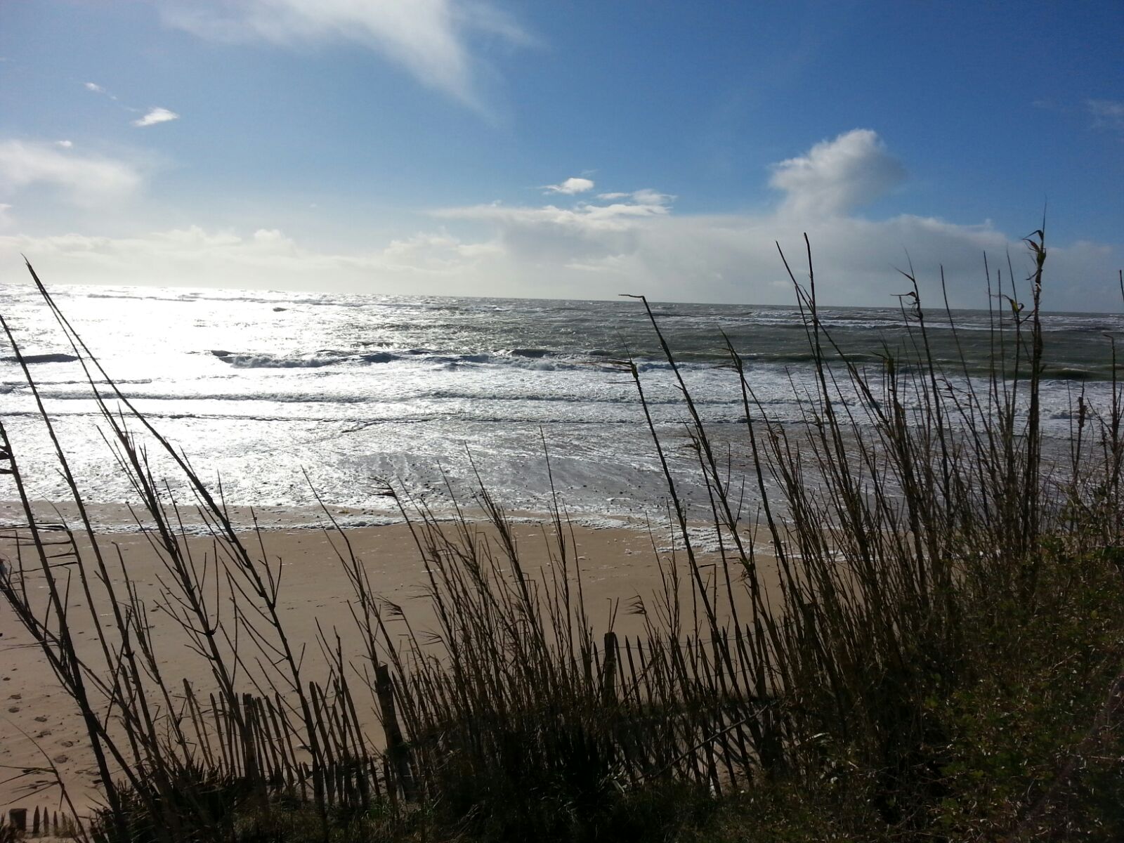 Photo n° 2 de l'avis de LEPEVE.h fait le 12/04/2018 à 17:21