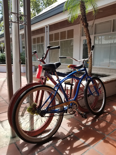 Bicycle Store «Revolution Bicycle Services», reviews and photos, 3444 Main Hwy #16, Miami, FL 33133, USA