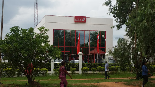 United Bank of Africa, Nigerian Limited, Nigeria, Financial Consultant, state Anambra