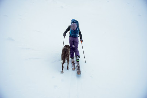 Outdoor Sports Store «Vital Outdoors», reviews and photos, 1224 Washington Ave # 125, Golden, CO 80401, USA