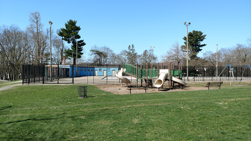 Pulaski Park Pool image 1