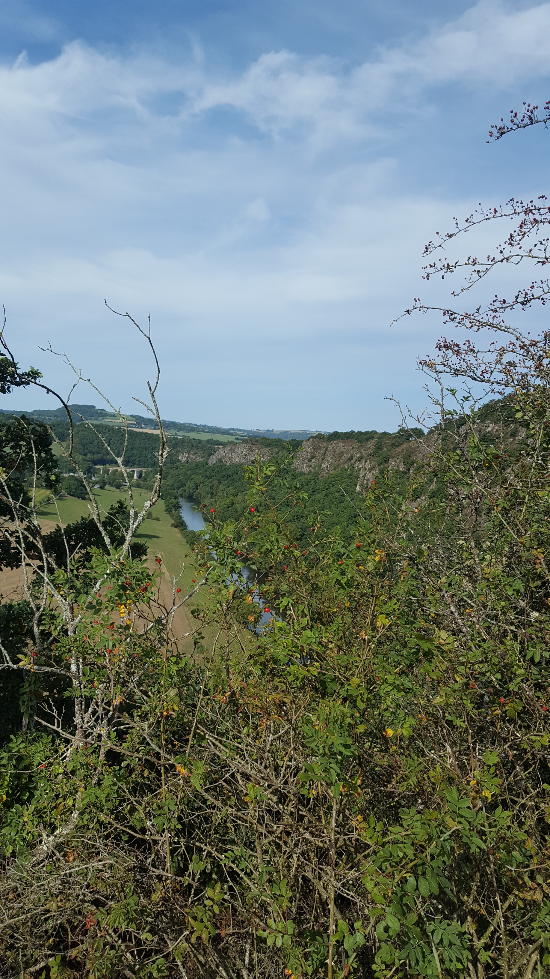 Photo n° 3 de l'avis de Dorothee. fait le 15/09/2018 à 07:06