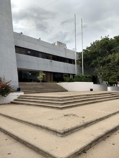 Universidad Autónoma de Chiapas - UNACH