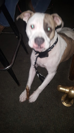 Night Club «Hard Racks Inc», reviews and photos, 24636 E Colonial Dr, Christmas, FL 32709, USA