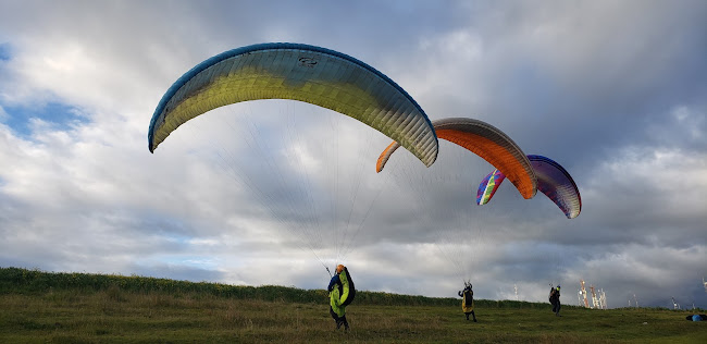 Opiniones de Flyniton, Paragliding en Baños de Agua Santa - Diseñador de sitios Web