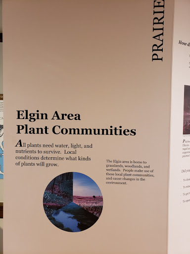 Museum «Elgin Public Museum», reviews and photos, 225 Grand Blvd, Elgin, IL 60120, USA